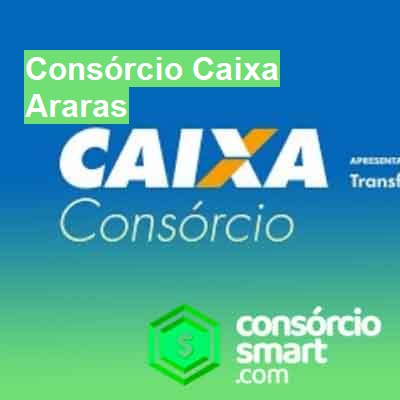 Consórcio Caixa-em-araras