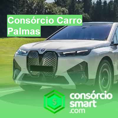 Consórcio Carro-em-palmas