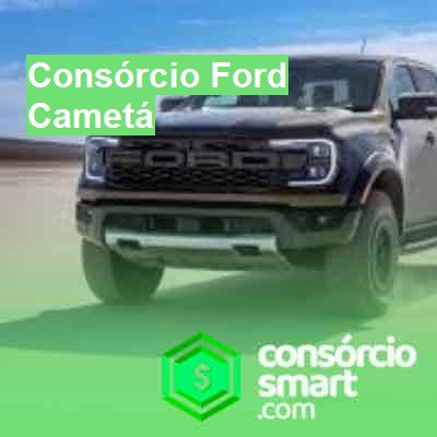 Consórcio Ford-em-cametá